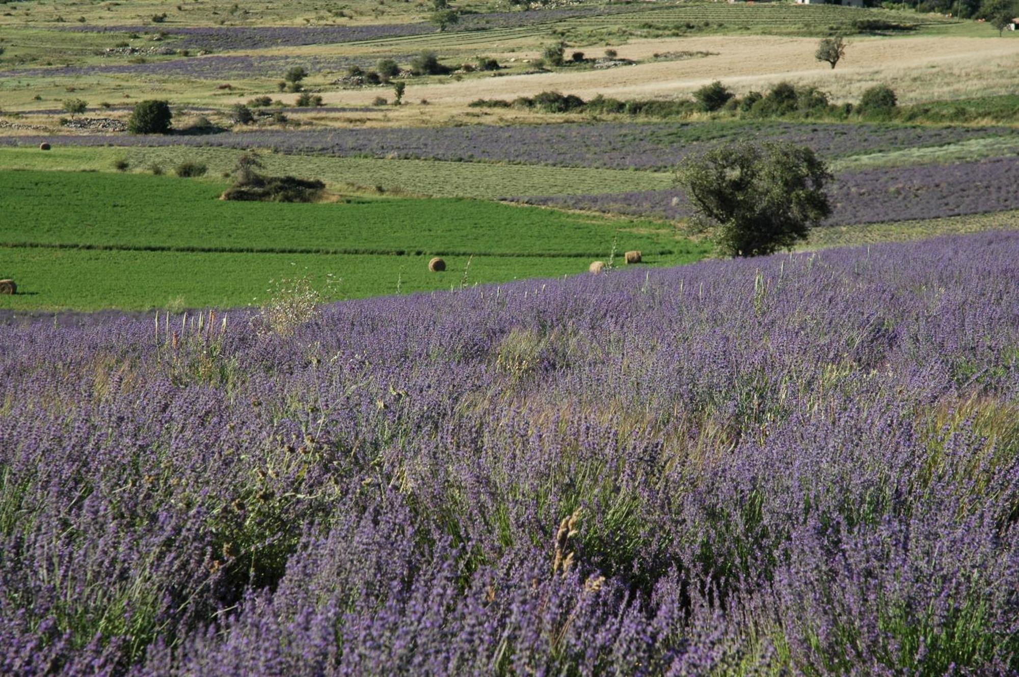 فندق La Claveliere Saint-Auban-sur-lʼOuvèze المظهر الخارجي الصورة